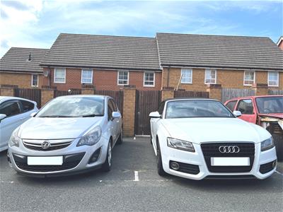 Picture 21